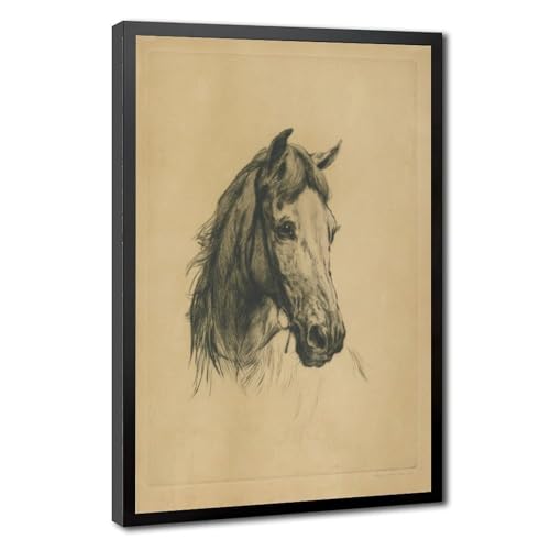 Impression sur toile tête de cheval Heywood Hardy cadre 30x45 cm