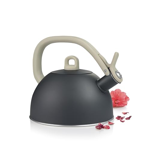 Tescoma 677464 Teiera bollitore 2,0 litri linea GrandCHEF