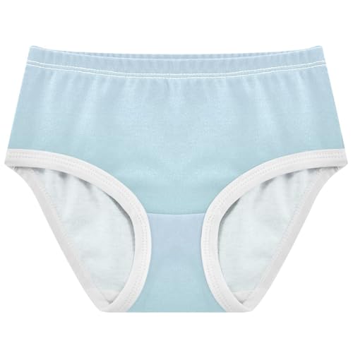 Joisal Blue Powder Gradient Panties Little Girl Girls Underwear Toddlers Cotton Fancy Briefs Girls Undies 2t