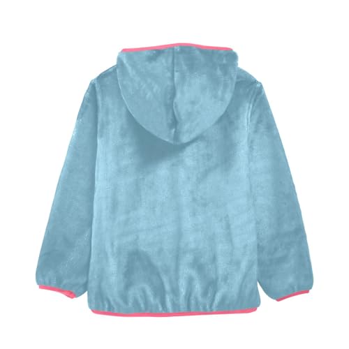 GuoChe Light Blue Sherpa Jacket2