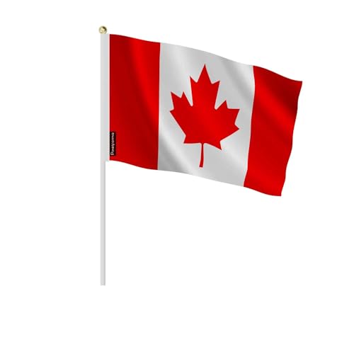 Mini drapeau Canada lot de 100 pour décoration de fête et match