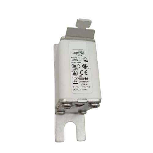 170M2663 170M2669 fusible rápido de cerámica bajo voltaje