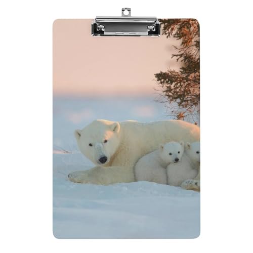 Planchettes à pince A4 Ours Winter pour bureau et classe