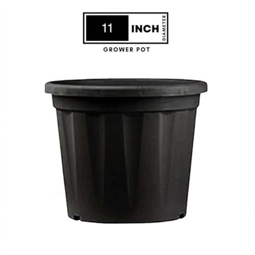 Image of 11 Inch Heavy Duty Plastic Planter | Grower Pot /Garden Pot for Home & Garden (Black) (Pack of 1)