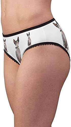 Sphynx Cat Panties, Sphynx Cat Underwear, Briefs, Cotton Briefs, Funny Underwear, Panties For Women