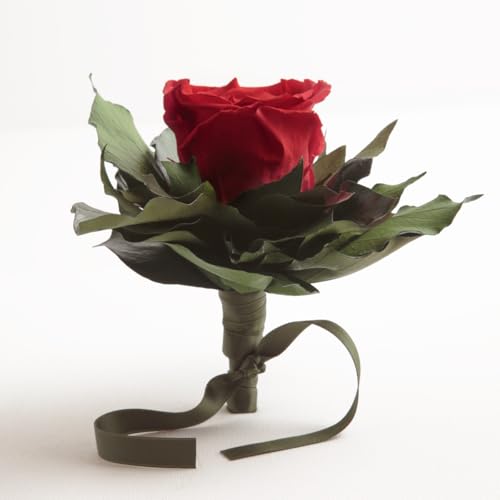 1 echte konservierte Rose als exklusives Blumensträusschen haltbar mindestens 3 Jahre - Rosemarie Schulz (Rot)