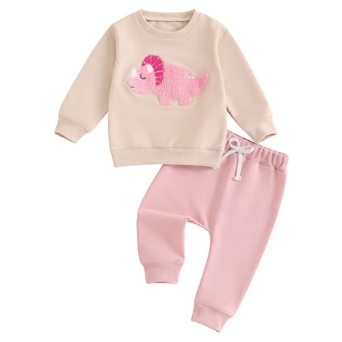 Toddler Baby Girl Clothes Fall Outfit Long Sleeve Fuzzy Dinosaur Embroidery Sweatshirt Top Pants Set