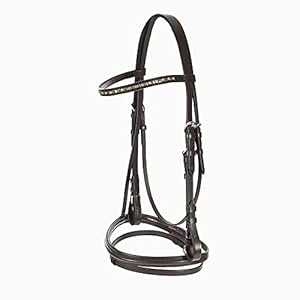HORZE Weston Padded Leather Snaffle Bridle with Flash Noseband and Web Reins | English Bridle for Horses