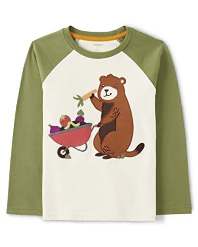 Gymboree Boys' and Toddler Spring and Summer Embroidered Graphic Long Sleeve T-Shirts