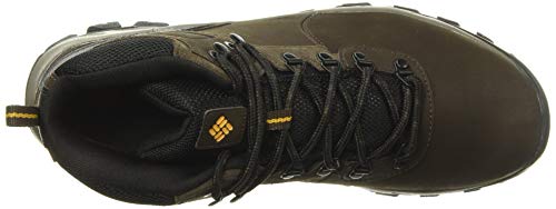 Columbia Men's Newton Ridge Plus II Waterproof Hiking Boot, Cordovan/Squash, 10.5 D US