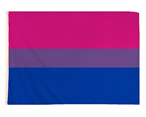 LGBT GAY PRIDE BISEXUAL FLAG BANNER 5ft x 3ft - FESTIVAL CARNIVAL PARADE PARTY