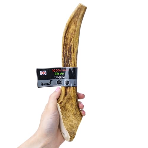 Elk Antler Dog Chews - Naturally Shed Long Lasting 100% Natural (Large 160-260g)