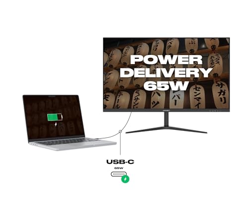 Monitor 27 IPS WQHD con carga USB-C de 65W para portátiles 4