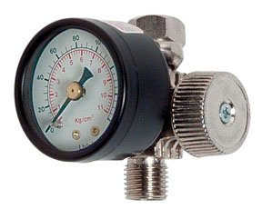 0.25 in. Air Regulator with Control Gauge