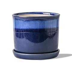 Blue Reactive Glaze