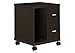 Monarch Specialties 2-Drawer Computer Stand on Castors, Cappuccino