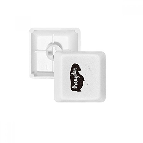 Keycaps PBT de haute qualité motif Orang-outan bicolore pour clavier mécanique blanc R4 OEM