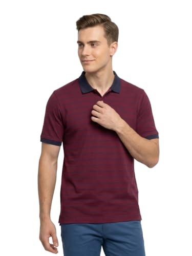 Image of Park Avenue Men Slim Fit Stripe Pattern Pure Cotton Polo Neck Half Sleeve Casual T-Shirt