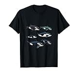 Photo Gallery orcas killer whale pod gruppo grafica maglietta Photo Gallery orcas killer whale pod gruppo grafica maglietta