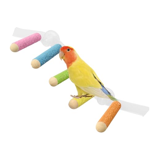 IEp~܂ - CRo - zՕtyʑǃP[Wp~܂ CR IJCRp