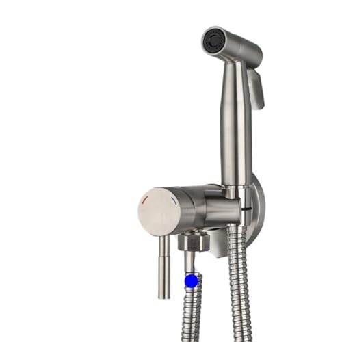 Grifo de bidé de acero inoxidable cepillado QTANZIQI con juego de válvulas de baño