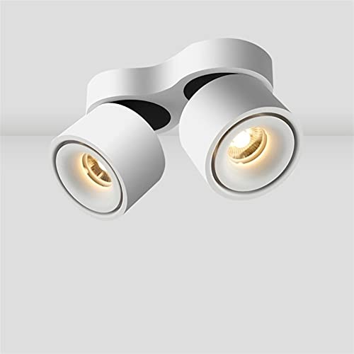 Bwldma NORDIC 12W * 2 Downlight Superficie Montado Doble cabeza COB Spotlight LED Pasillo Pasillo Corredor Sala de estar Luz Bold Light Clother Tienda Fondo Techo Techo Downlight Blanco Cover