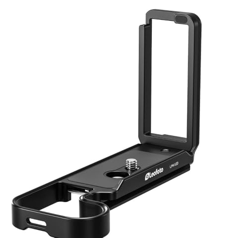 レオ・ゲステル「２人の男性の頭」【フレームサイズ 32×26cm】 31GdklribJL.jpg