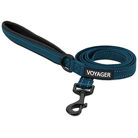Voyager Reflective Dog Leash with Neoprene Handle, 5ft Long, Supports Small, Medium, and Large Breed Puppies, Cute and Heavy Duty for Walking, Running, and Training - Blue (Leash), M Cover