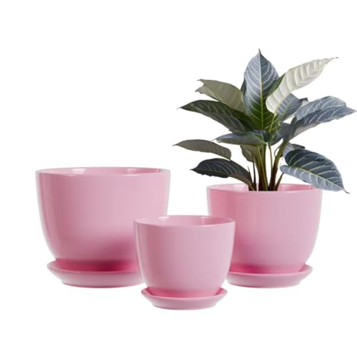 Pink Ceramic Flower Pots Indoor Decorative Plant Pots Set of 3-4+5+6 Inch Small Glazed Succulent Planters with Drainage Hole Modern Garden Pots with Saucer