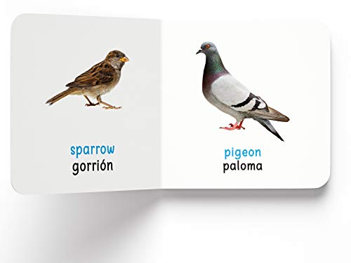 My First Book of Birds (English - Español): Aves