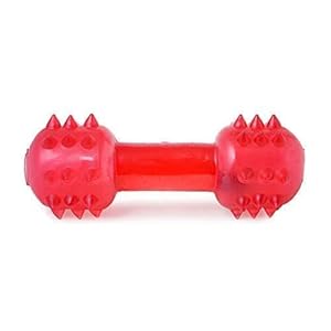 Tails Musical Dumbbell Dog Chew Toy (Color May Vary)