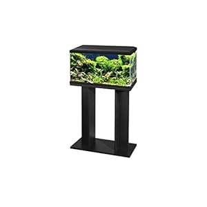 Aquarium Fish Tank with Stand/Filter/LED Lighting 60cm 2ft 58L (Black)
