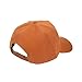 Dragon Ball Z Goku’s Symbol Traditional Snapback Cap Brown