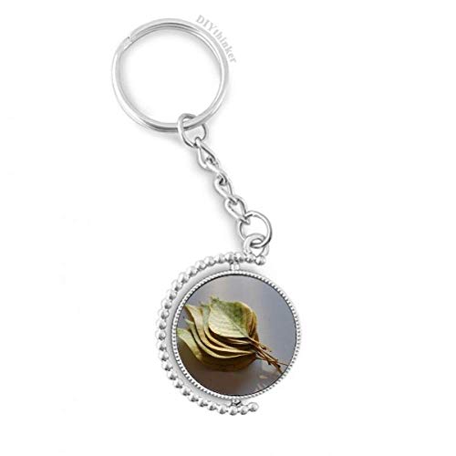 Titular de la clave con cubo giratorio y diseño de cuadro de hoja de planta