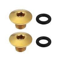 Vis De Purge VGOL – M5x10 Mm – Titane TC4 – Pour Freins Shimano XT/SLX/Zee/Deore