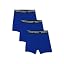 All Royal Blue