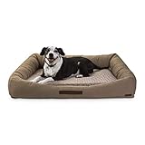Petco Brand - Reddy Tan Canvas Cozy & Cool-Touch Dog Bed, 36' L X 48' W, X-Large