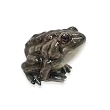 WitnyStore Tiny 1¾' Dark Gray Brown Toad Figurine - Miniature Hand Made Painted Ceramic Frog Toads Amphibian Animals Colorful Porcelain Decorative Figures Collectible Figurines Souvenir Décor Gifts