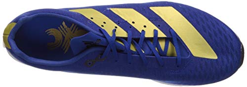 Adidas Men's Adizero Xc Sprint Running Shoe, Collegiate Royal/Gold Metallic/Black, 12.5 M Us #TOP4