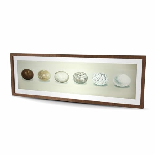 Begin Home Decor C1FM2060BFW2CE 20 x 60 in. Golf Ball