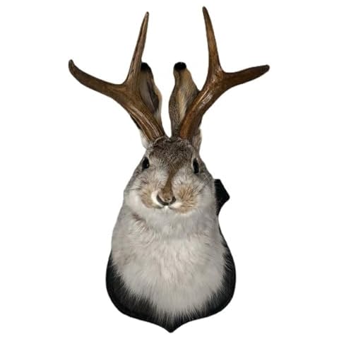 Shouhengda Animal Head Wall Decor, Bunny Head Antlers Wall Hanging Decoration Animals Deer Taxidermy Mount Rabbit Ornaments Wall Decorations Indoor Bedroom Sculpture Easter Gift Cover