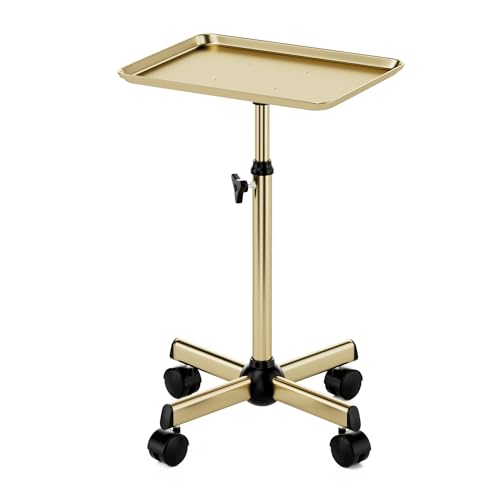 Salon Tray, Premium Metal Rolling Tray Cart, Tattoo Tray Height