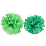 Kit de pompons en papier : les couleurs classiques et la finition soignée de ces pompons en papier contribuent à créer une ambiance festive