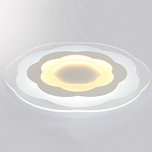 Éclairage à plafond plat idéal pour l'entrée et l'allée plafonnier LED 12W