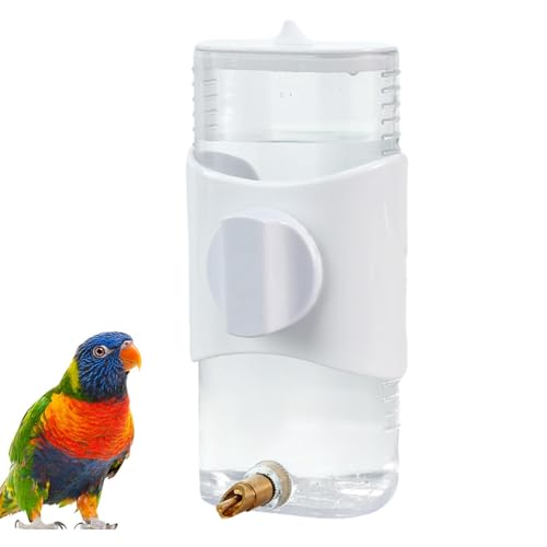 Distributeur d'eau pour perruches – Abreuvoir pour Oiseaux en Cage | Mangeoire pour perroquets et Autres Oiseaux, Grande capacité, Accessoire de Soin et d'alimentation