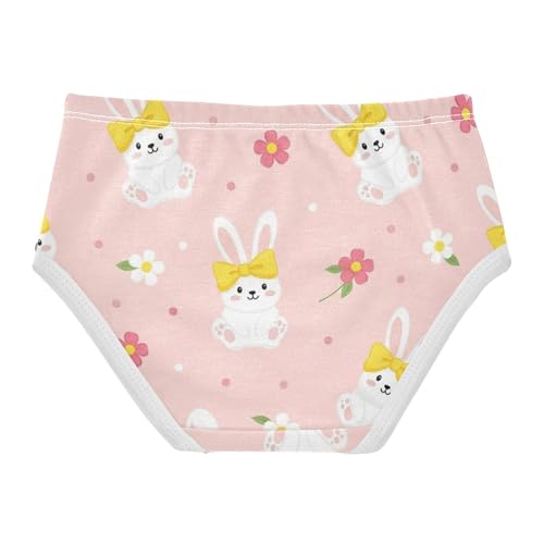 Cute Bunnies Rabbits Floral Pink Toddlers Underwear Floral 2t Cotton Little Girl Panties Bright Briefs Undies Kids2