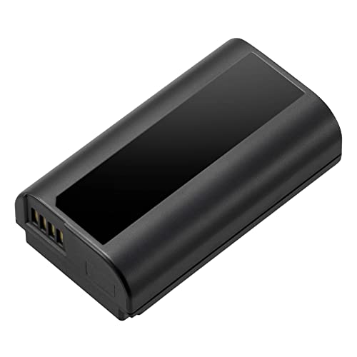 Panasonic DMW-BLJ31E Batterie de caméra/caméscope Lithium-ION (Li-ION) 3100 mAh