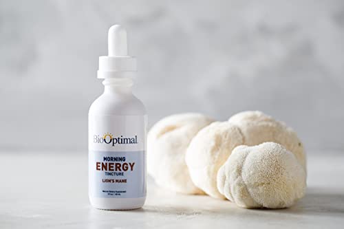 Biooptimal Lion's Mane Oral Drop Tincture, Energy And Brain Health Supplement, Brain Booster, Brain Fuel, Improves Focus And Memory, Vitamin B12, 2 Fl Oz, 30 Servings, Packaging May Vary #TOP5