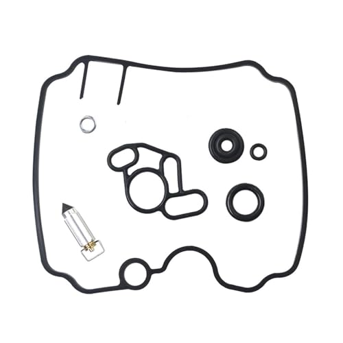 Kit reparación de carburador rutas clásicas TDM850 XTZ750 3