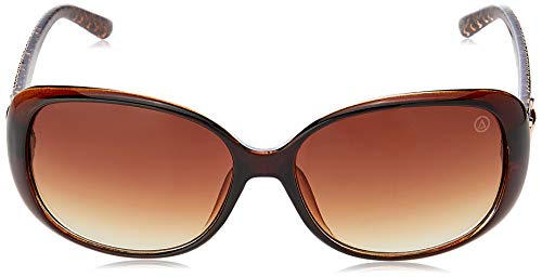 Óculos de sol MG0544-C2, Les Bains, Feminino, Marrom